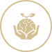 Eco-Tours icon