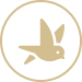 Eco-Tours icon